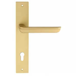 Дверная ручка на планке Extreza 