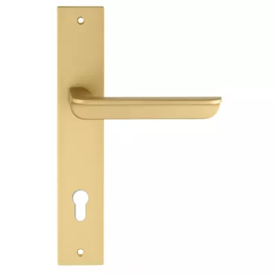 Дверная ручка на планке Extreza "FOSSA" 136 PL13-CYL-85 матовая латунь F02