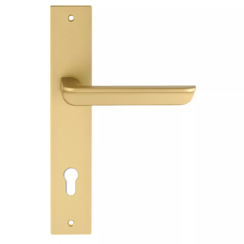 Дверная ручка на планке Extreza "FOSSA" 136 PL13-CYL-85 матовая латунь F02