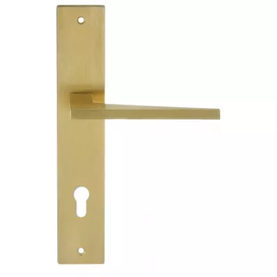 Дверная ручка на планке Extreza Hi-Tech "AZIMUT" 102 PL13-CYL-85 матовая латунь PVD F08