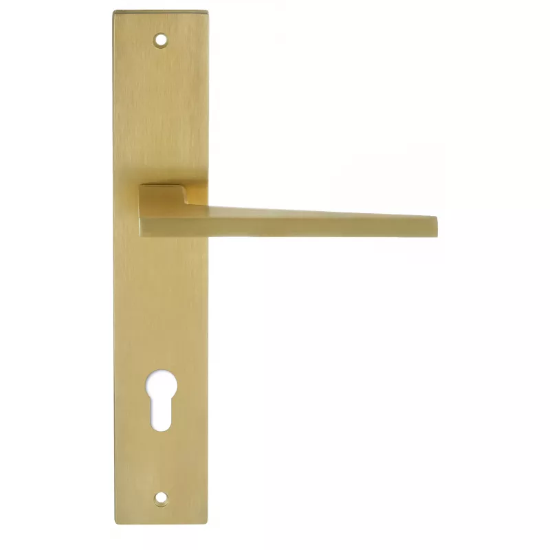 Дверная ручка на планке Extreza Hi-Tech "AZIMUT" 102 PL13-CYL-85 матовая латунь PVD F08