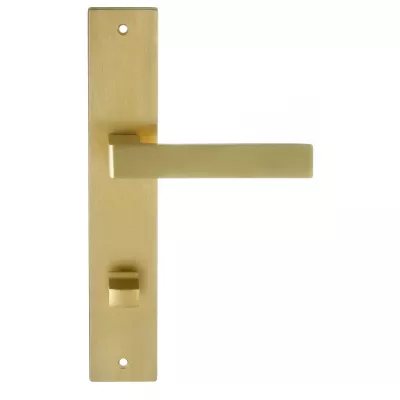 Дверная ручка на планке Extreza ENZO-PL13-WC96-PVD-F08 (ENZO 117) матовая латунь PVD