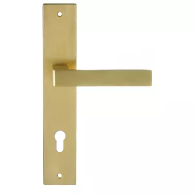 Дверная ручка на планке Extreza ENZO-PL13-CYL85-PVD-F08 (ENZO 117) матовая латунь PVD