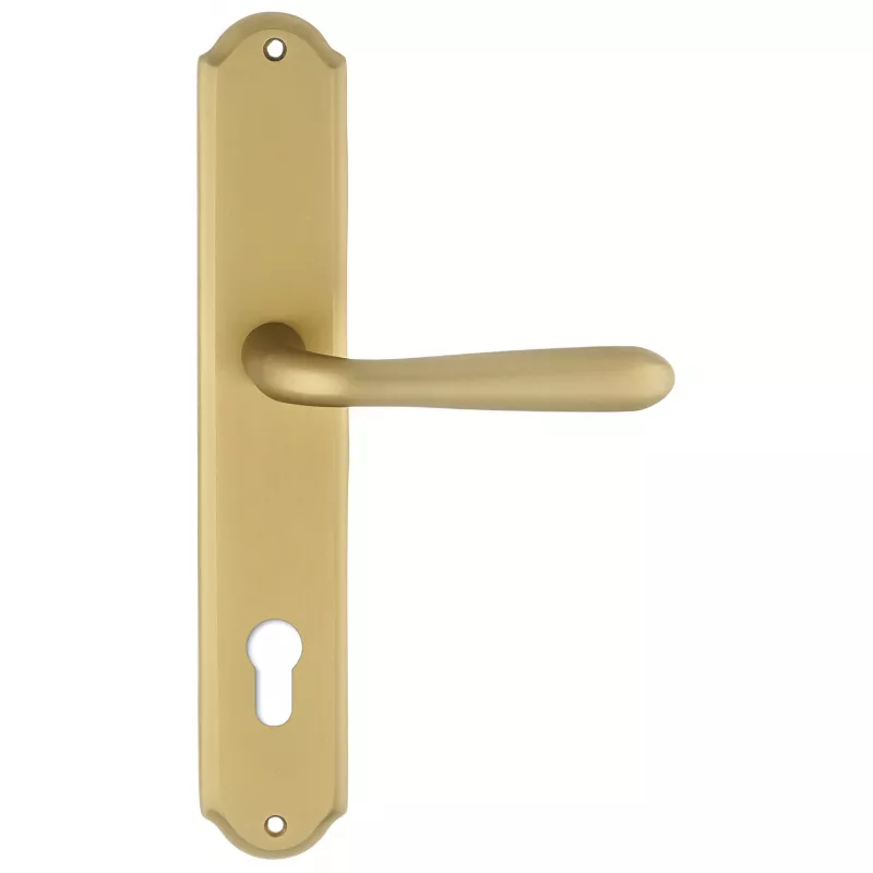 Дверная ручка Extreza "ALDO" (Альдо) 331 на планке PL01 матовая латунь F02 под цилиндровый механизм CYL