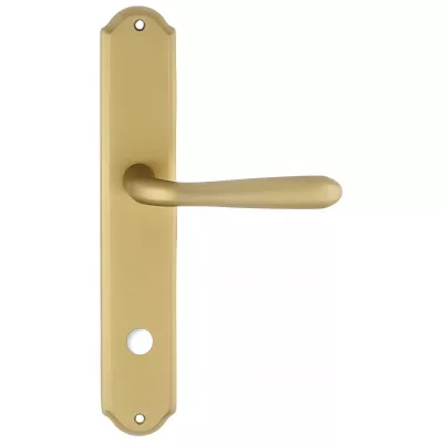 Дверная ручка Extreza "ALDO" (Альдо) 331 на планке PL01 матовая латунь F02 сантехническая завертка WC