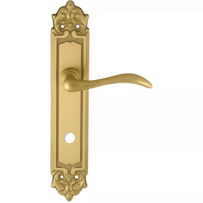 Дверная ручка на планке Extreza AGATA-PL02-WC96-F02 (AGATA 310) матовая латунь