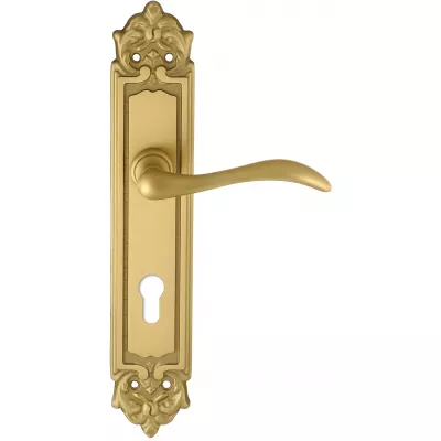 Дверная ручка на планке Extreza AGATA-PL02-CYL85-F02 (AGATA 310) матовая латунь