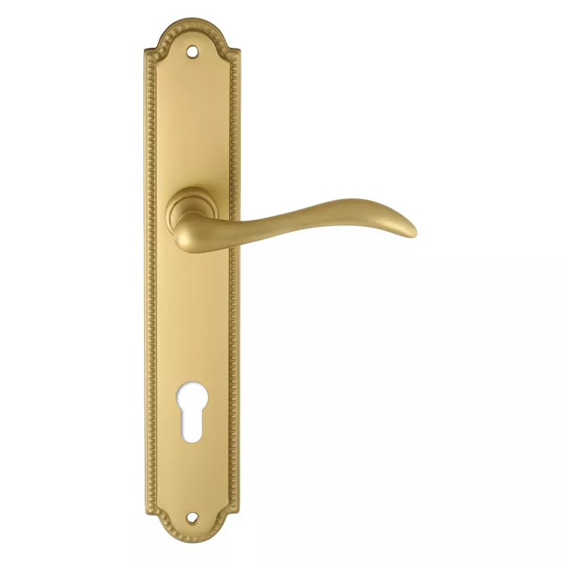 Дверная ручка на планке Extreza AGATA-PL03-CYL85-F02 (AGATA 310) матовая латунь