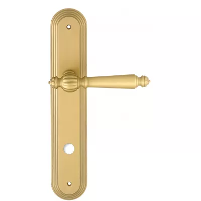 Дверная ручка Extreza "DANIEL" (Даниел) 308 на планке PL05 матовая латунь F02 сантехническая завертка WC