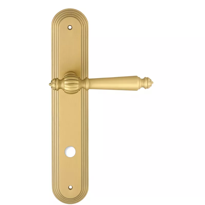 Дверная ручка Extreza "DANIEL" (Даниел) 308 на планке PL05 матовая латунь F02 сантехническая завертка WC