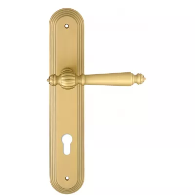 Дверная ручка Extreza "DANIEL" (Даниел) 308 на планке PL05 матовая латунь F02 под цилиндровый механизм CYL