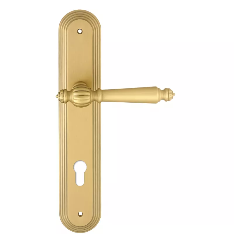 Дверная ручка Extreza "DANIEL" (Даниел) 308 на планке PL05 матовая латунь F02 под цилиндровый механизм CYL