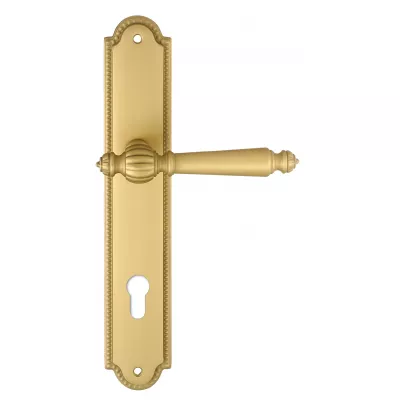 Дверная ручка Extreza "DANIEL" (Даниел) 308 на планке PL03 матовая латунь F02 под цилиндровый механизм CYL