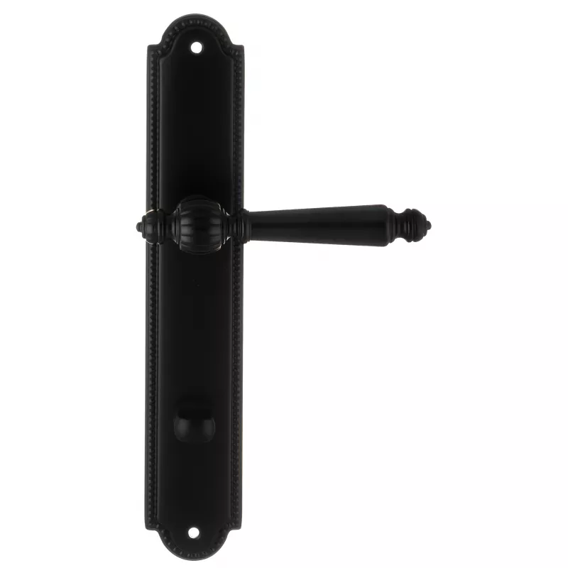 Ручка дверная Extreza "DANIEL" 308 на планке PL03 WC черный матовый F22