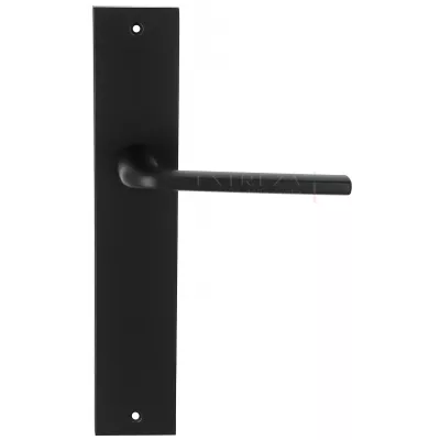 Дверная ручка Extreza Hi-Tech "TERNI" (Терни) 320 на планке PL11 черный F22 без доп. запирания PASS