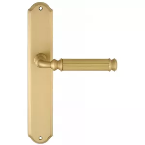 Дверная ручка на планке Extreza BENITO-PL01-F02 (BENITO 307) матовая латунь