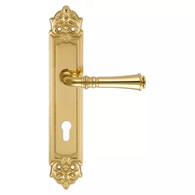 Дверная ручка на планке Extreza CANNA-PL02-CYL85-F01 (CANNA 327) полированная латунь