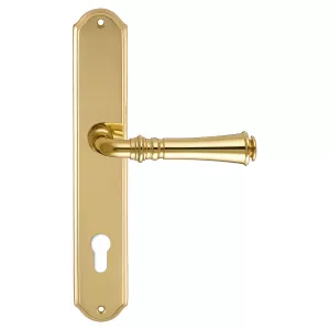 Дверная ручка на планке Extreza CANNA-PL01-CYL85-F01 (CANNA 327) полированная латунь