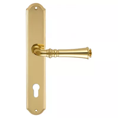 Дверная ручка на планке Extreza CANNA-PL01-CYL85-F01 (CANNA 327) полированная латунь