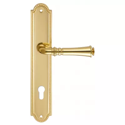 Дверная ручка на планке Extreza CANNA-PL03-CYL85-F01 (CANNA 327) полированная латунь