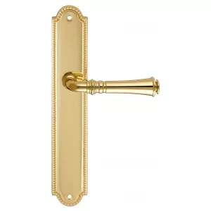 Дверная ручка на планке Extreza CANNA-PL03-F01 (CANNA 327) полированная латунь
