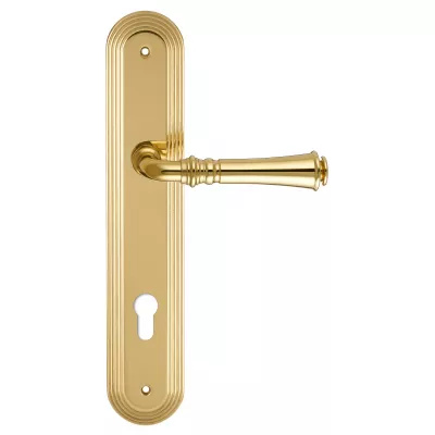 Дверная ручка на планке Extreza CANNA-PL05-CYL85-F01 (CANNA 327) полированная латунь