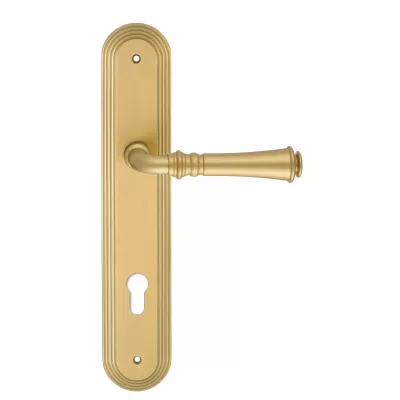 Дверная ручка на планке Extreza "CANNA" 327 PL05-CYL85 матовая латунь F02