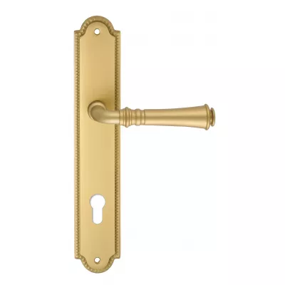 Дверная ручка на планке Extreza "CANNA" 327 PL03-CYL85 матовая латунь F02