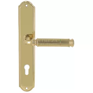 Дверная ручка на планке Extreza BENITO-PL01-CYL85-F01 (BENITO 307) полированная латунь