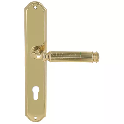 Дверная ручка на планке Extreza BENITO-PL01-CYL85-F01 (BENITO 307) полированная латунь