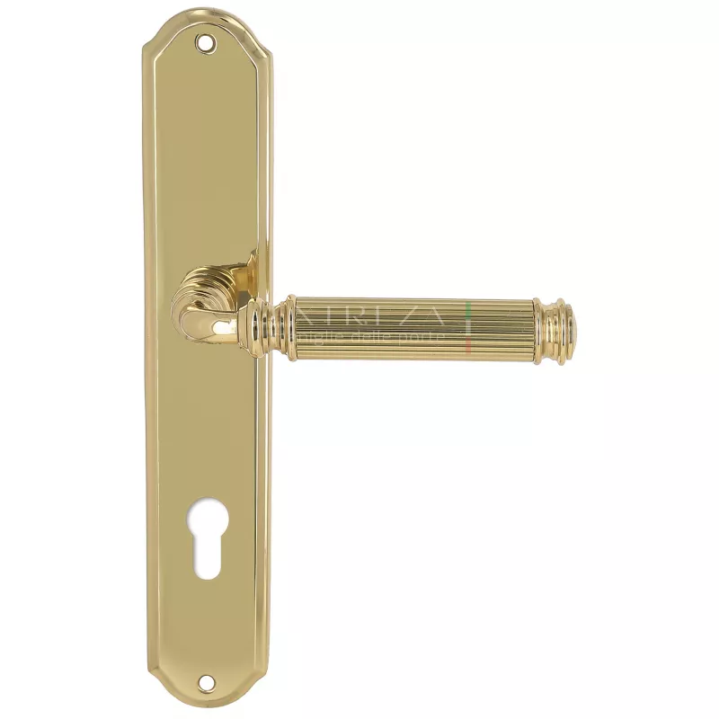 Дверная ручка на планке Extreza BENITO-PL01-CYL85-F01 (BENITO 307) полированная латунь