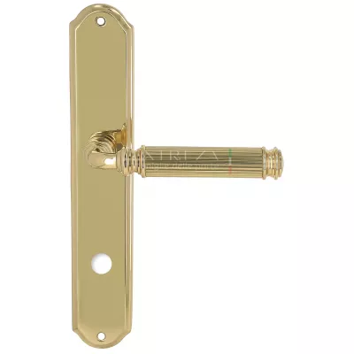 Дверная ручка на планке Extreza BENITO-PL01-WC96-F01 (BENITO 307) полированная латунь