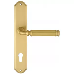 Дверная ручка на планке Extreza BENITO-PL01-CYL85-F02 (BENITO 307) матовая латунь