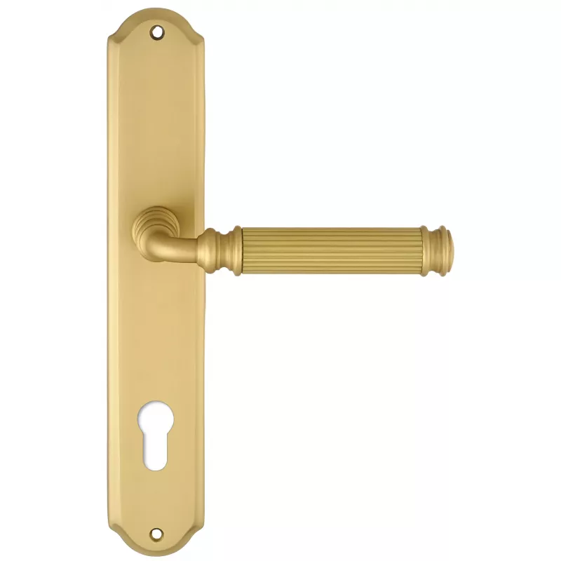 Дверная ручка на планке Extreza BENITO-PL01-CYL85-F02 (BENITO 307) матовая латунь