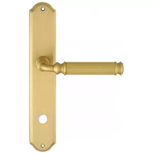Дверная ручка на планке Extreza BENITO-PL01-WC96-F02 (BENITO 307) матовая латунь