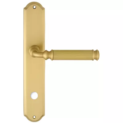 Дверная ручка на планке Extreza BENITO-PL01-WC96-F02 (BENITO 307) матовая латунь