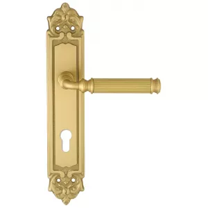 Дверная ручка на планке Extreza BENITO-PL02-CYL85-F02 (BENITO 307) матовая латунь