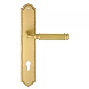 Дверная ручка на планке Extreza BENITO-PL03-CYL85-F02 (BENITO 307) матовая латунь