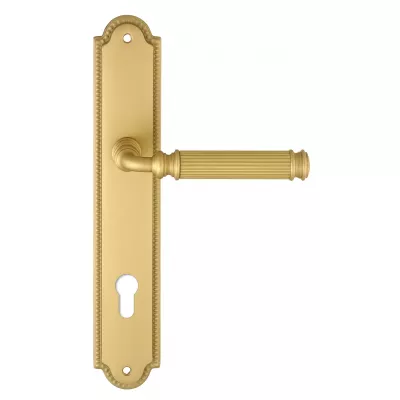 Дверная ручка на планке Extreza BENITO-PL03-CYL85-F02 (BENITO 307) матовая латунь