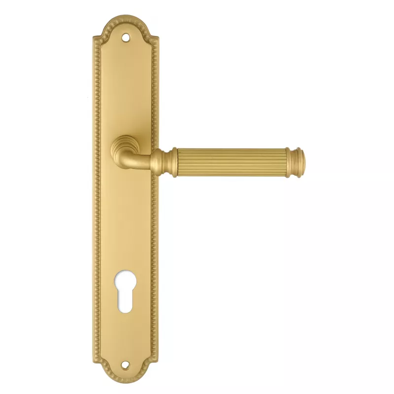 Дверная ручка на планке Extreza BENITO-PL03-CYL85-F02 (BENITO 307) матовая латунь