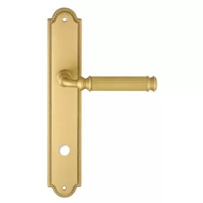 Дверная ручка на планке Extreza BENITO-PL03-WC96-F02 (BENITO 307) матовая латунь