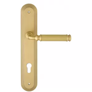 Дверная ручка на планке Extreza BENITO-PL05-CYL85-F02 (BENITO 307) матовая латунь