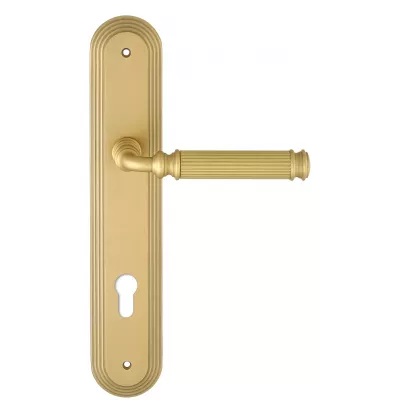 Дверная ручка на планке Extreza BENITO-PL05-CYL85-F02 (BENITO 307) матовая латунь