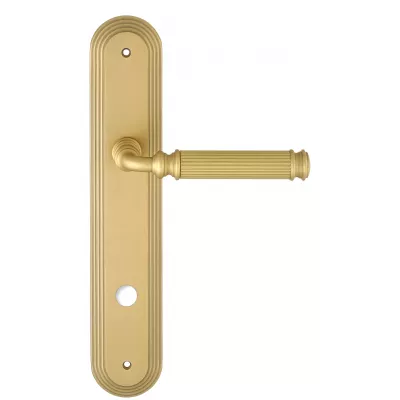 Дверная ручка на планке Extreza BENITO-PL05-WC96-F02 (BENITO 307) матовая латунь