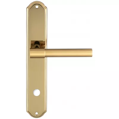 Дверная ручка Extreza "NUVO" 125 на планке PL01-WC-96 матовая латунь / латунь F01