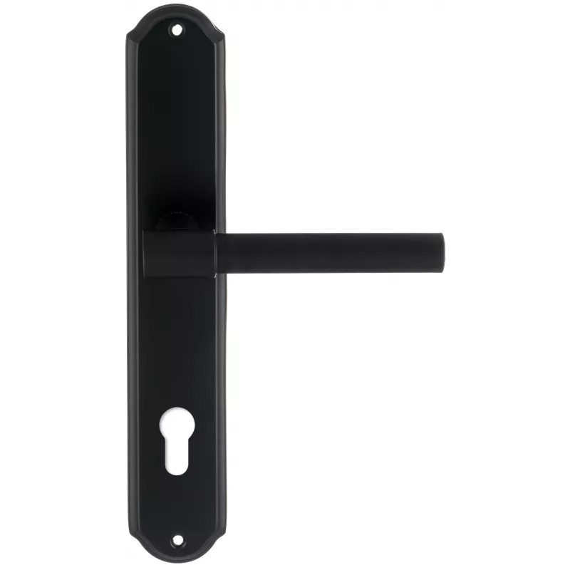 Дверная ручка Extreza "NUVO" 125 на планке PL01-CYL-85 черный F22