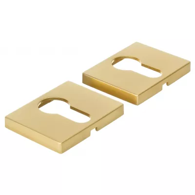 Накладка под цилиндр Extreza CYL-R14-F02 (40x50) матовая латунь