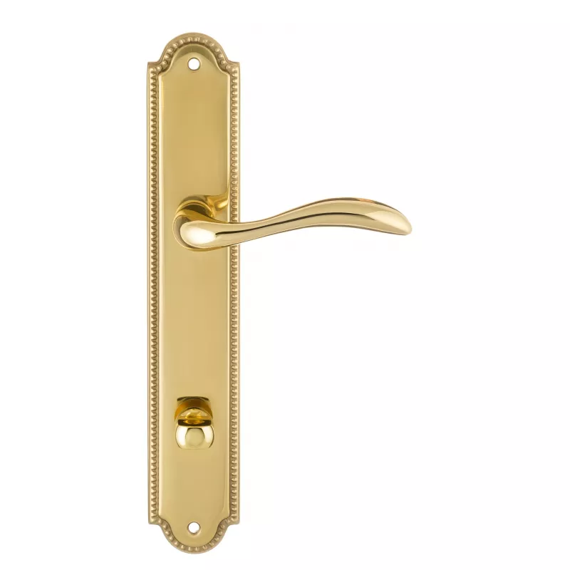 Дверная ручка на планке Extreza FLEXA-PL03-WC-96-F01 (FLEXA 335) полированная латунь