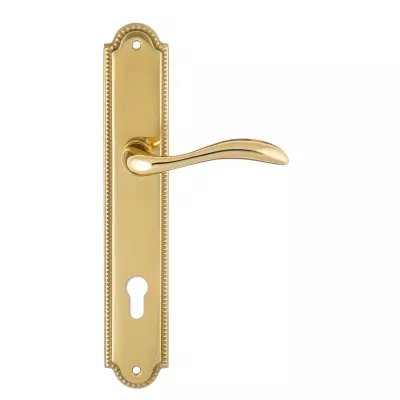 Дверная ручка на планке Extreza FLEXA-PL03-CYL-85-F01 (FLEXA 335) полированная латунь