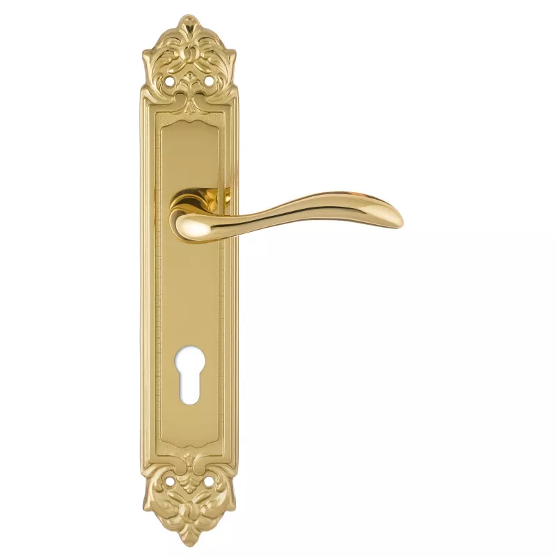 Дверная ручка на планке Extreza FLEXA-PL02-CYL-85-F01 (FLEXA 335) полированная латунь